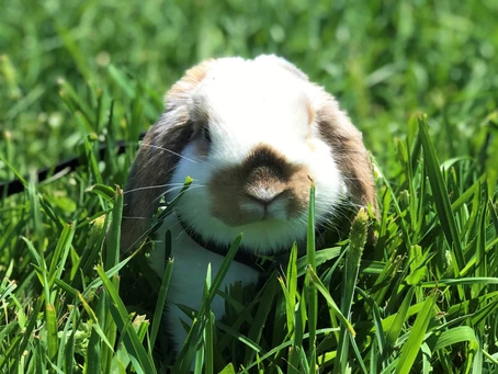 “HAY, IT’S FRIDAY!” HOORAY!