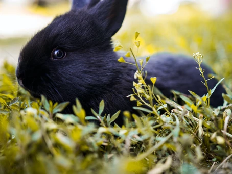 HAY, IT’S FRIDAY!