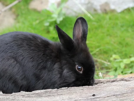 HAY, IT’S FRIDAY!