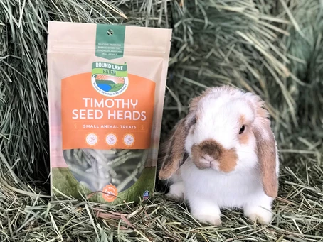 “HAY, IT’S FRIYAYYYY!!!!” Exciting Product Announcement